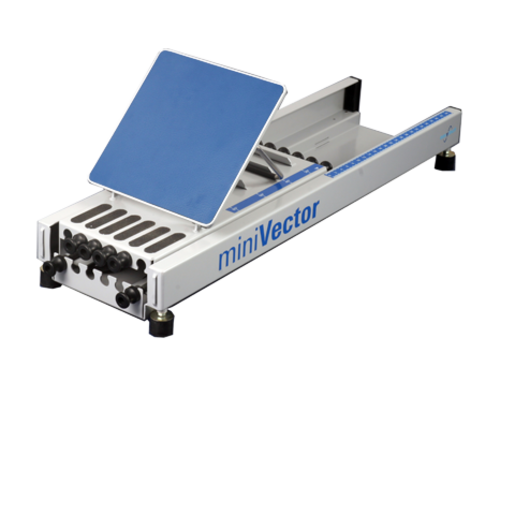 Minivector Minivector